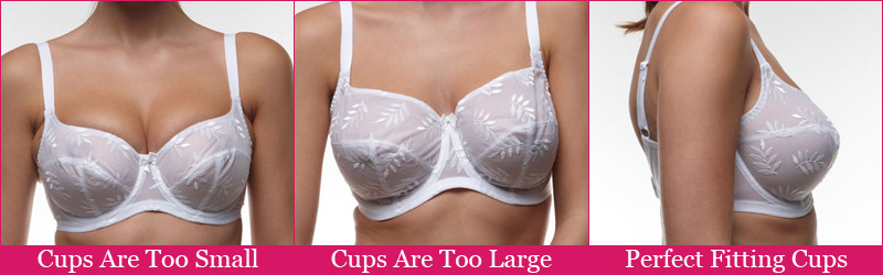 Bra Size: Why You Shouldn't Fake It – Bra Doctor's Blog