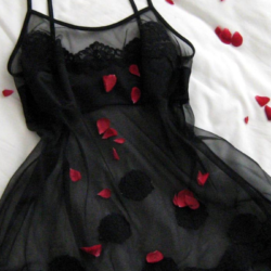 4 Valentine’s Date Ideas That…